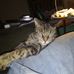 Mike Widdowson - Facebook