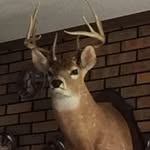 Mike Widener - @widenermike - Instagram