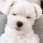 @mikewillison91 - Instagram