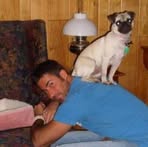 Mike Wilton - Facebook