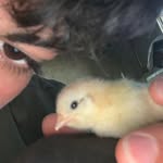 mike wilton - @mik_ewilton - Instagram