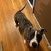 Mike Winder - Facebook