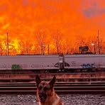 Mike Wolcott - Facebook