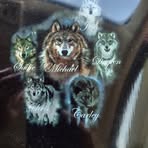 Mike Wolf - Facebook
