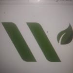 Mike Woodham - @woodhams_plant_sourcing - Instagram