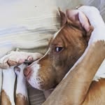 Mike Woodham - @thewood36 - Instagram