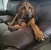 Mike Woodside - Facebook