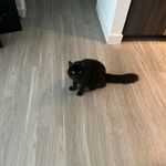 Mike Wouters - @wootersmike - Instagram