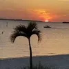 mikewulf8 - @mikewulf8 - TikTok