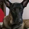Mike Yanez - @mike.yanez7 - TikTok