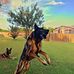 Mike Yarnell - Facebook