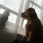 Yim y Mike - @_mike_yim_ - Instagram