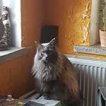 Mike Zech - @zechmike - Instagram