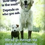 Mike Zechmann - @mikezechmann - Instagram