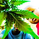 Mike Coozeman - @mikegoozeman - Instagram