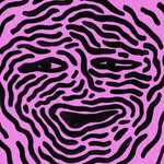 Mike Zimmerman - @mikezimms - Instagram