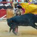 Mikel Thomas Tuz - Facebook