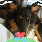 Mikey Carpenter - Facebook