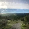 mikey_mccoy - @mikey_mccoy - TikTok