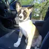 Mike Murphy - @mike.murphy460 - TikTok