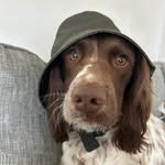 Mikey - @mikey_powers10 - Instagram