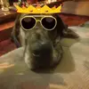 Mikey Powers - @mikeypowers0 - TikTok