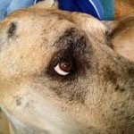 Mikey Schultz - @darkphyre024 - Instagram