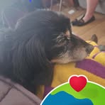 Mikey Schultz - Facebook