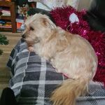 @mikey_ward_2003 - Instagram