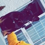 Mikey Ward - @mikey.ward.9862 - Instagram