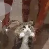 Mikhail Kravchenko - @30263320617 - TikTok