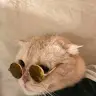 Михаил Марков - @mikhailmarkov07 - TikTok