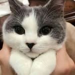 Zaitsev Mikhail - @zaitsevmikhail48 - Instagram