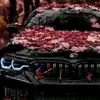 @#333333&&$€€AMG - @mikotamaryan - TikTok