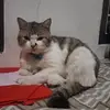 mikotampansekali - @mikotampanparah - TikTok