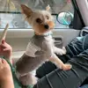 user9969022363162 - @mikotami - TikTok