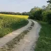 Mila - @mila.cooperr - TikTok
