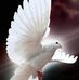 Mila Jose - Facebook