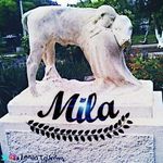 😍صفحة أبناء و بنات ولاية ميلة😍 - @page_mila_43 - Instagram