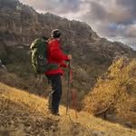 milad.moradi - @moradimilad72 - Instagram