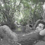 milad sabaghi - @milad_sabaghi - Instagram