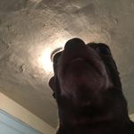 Mimi Troche - @milagros.troche.10 - Instagram