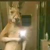 Milagros Valle - @milagros.valle5 - TikTok