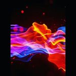 Milan Berry - @magical_bacon_milan - Instagram