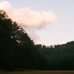 Milan - @milanberry_vws - Instagram