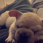 Milan Holmes - Facebook