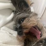 milan alexandra lowe bostick - @milanbostick - Instagram