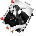 milan😍❤ - @milan_lowe_viky - Instagram