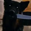 Milan Markov792 - @milanmarkov792 - TikTok