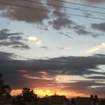Milan - @milan_watts0dq5 - Instagram